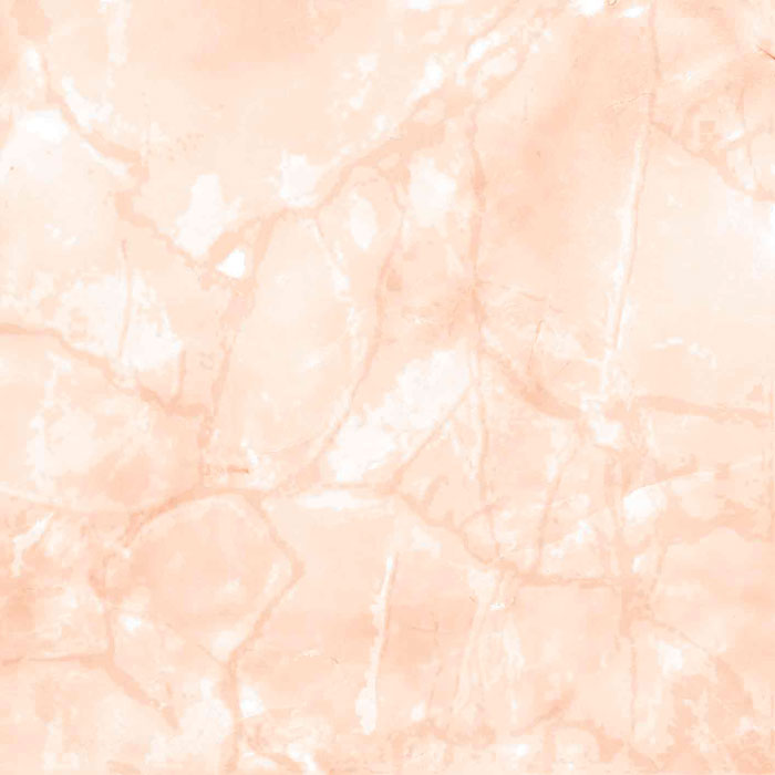 45826---F1 Ref. 45826 BARK - Imagen 1