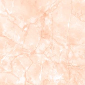 Ref. 45826 BARK - Imagen 4