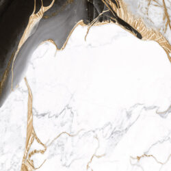 45988 CINZA GOLD - Imagem 5