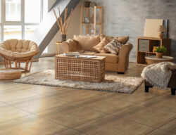 56057 MOGNO TACO - Imagen 3