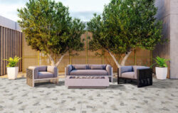 45455 STONE EDGE - Image 3