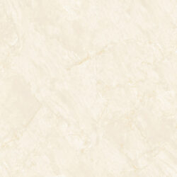 45365 CREMA - Image 3