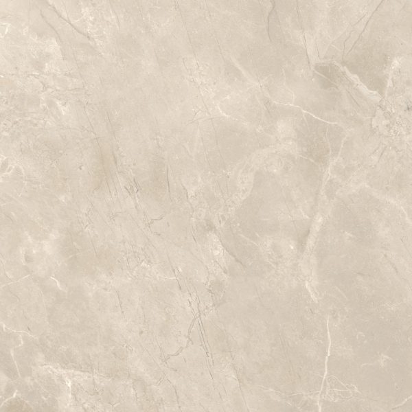 Ref. 177017 MAGNA BONE