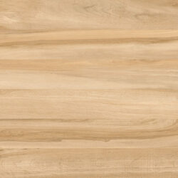 Porcelanato 61106 SLAT WOOD - Imagem 5